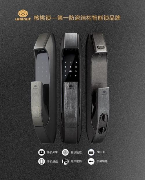 德国智能锁和国产智能锁哪个好,老牌智能锁有哪些