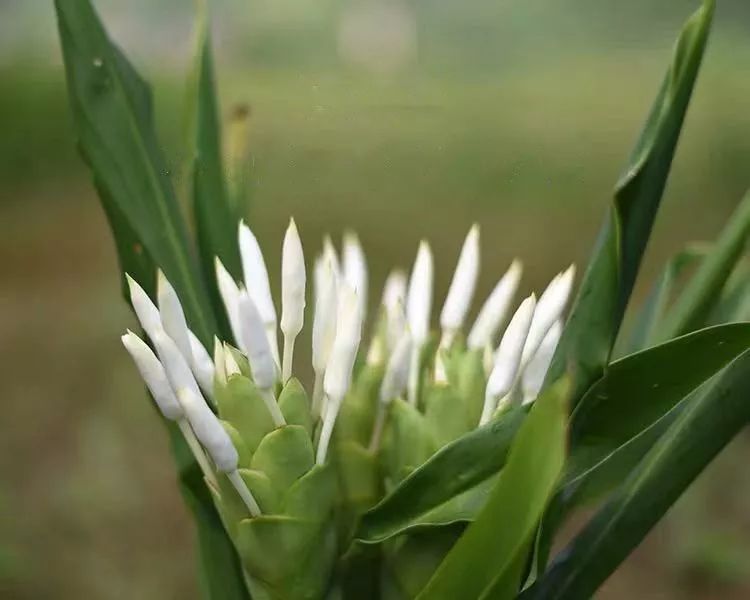 宋慧乔开播新剧,宋慧乔新剧美貌