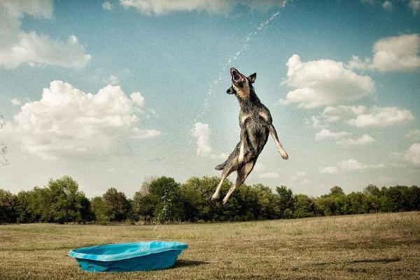 手把手申请澳洲打工度假签证,手把手申请澳洲旅游签证