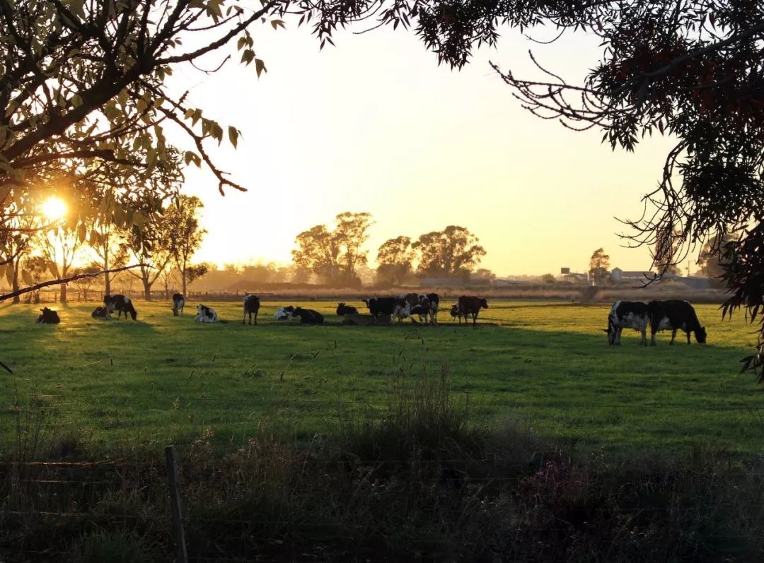 一条生活馆产品,一条生活馆成都店
