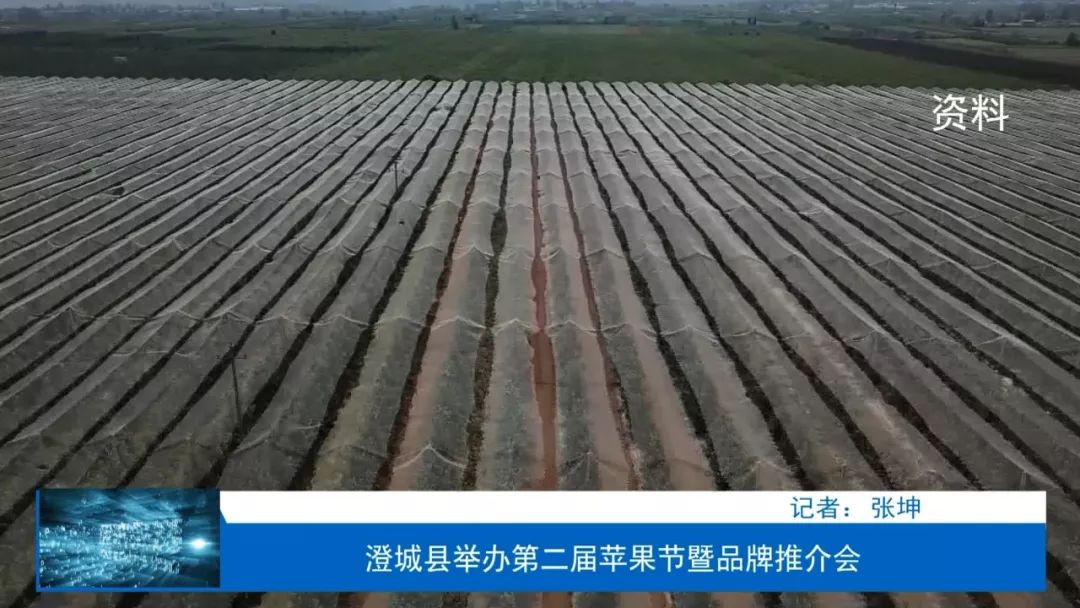 澄城县第三届樱桃文化艺术节,澄城县苹果