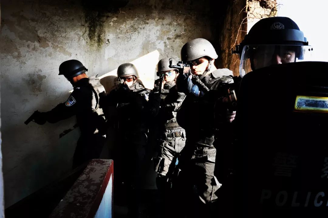 巡特警大练兵实战视频,上海金山分局特警冬季大练兵