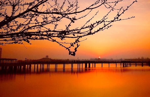 最新评定!4个省五星级公园,3个在邯郸!你去过吗?