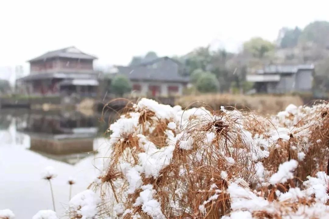遵义市景区免费名单,遵义景区最新消息