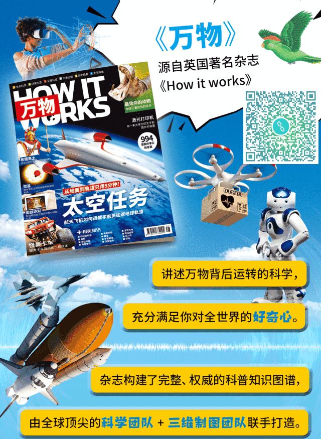 眼睛会发光的小虫,眼睛里有小虫子爬的感觉是咋回事