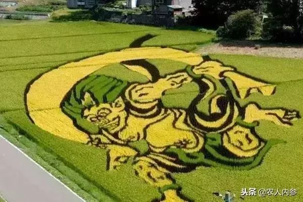 农业与艺术,农业可以很艺术