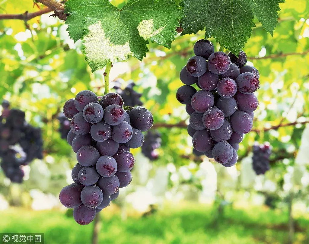 女子这个部位满是“沙子”，不得不全部切除！只因这项坑惨无数人的操作