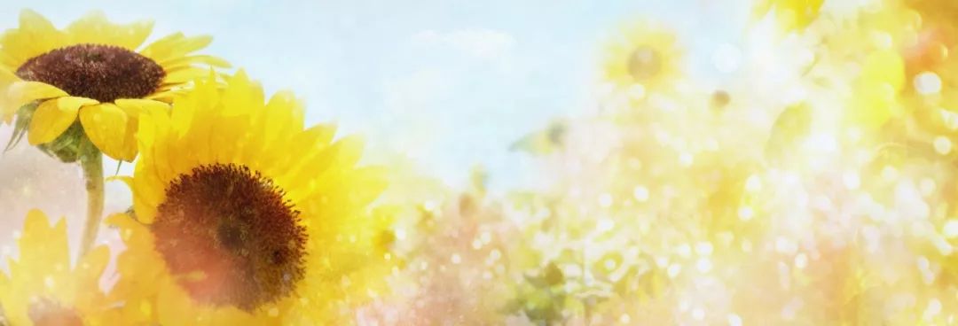 支教老师的千字长文,支教老师感动长文