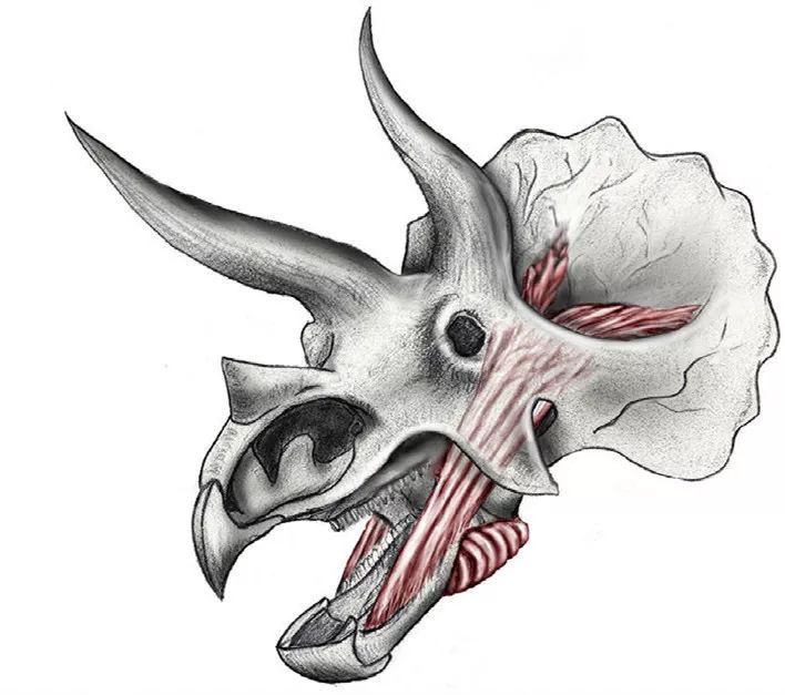 古生物最新发现,古生物化石信息