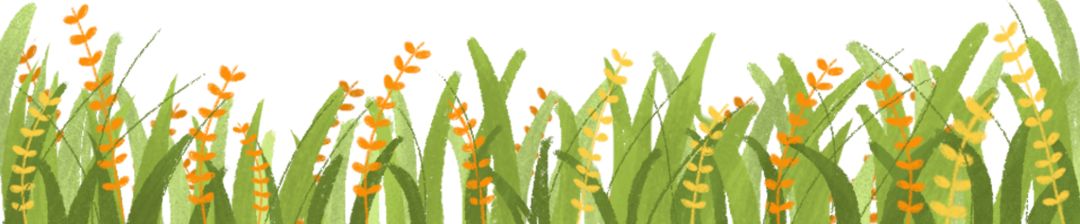 中国邮政转正有多难,邮政的年轻人该如何干