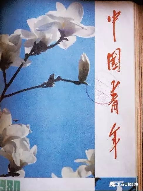 谈论潘晓婷的视频,潘晓人生观大讨论