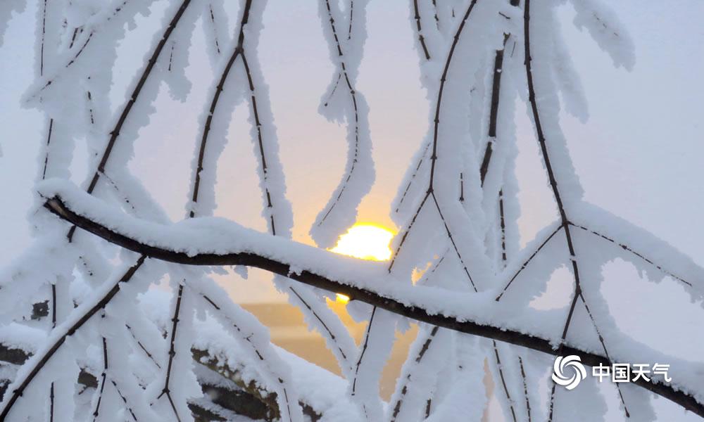 四川西岭雪山远观,成都西岭雪山美成童话世界