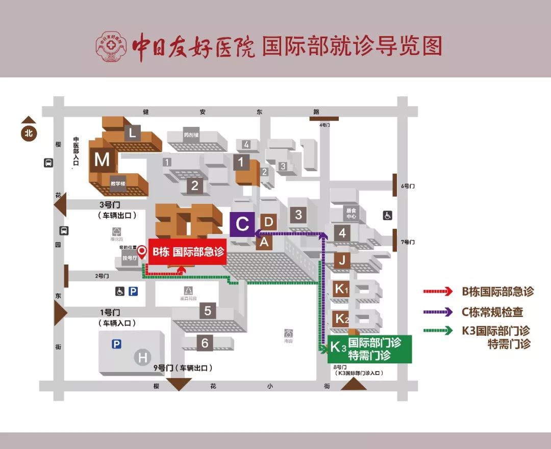 抽血科普知识类短视频,抽血后科普宣教