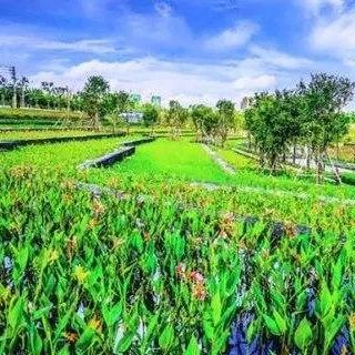 孩子眼中的最漂亮妈妈,儿童眼中的妈妈是最漂亮的