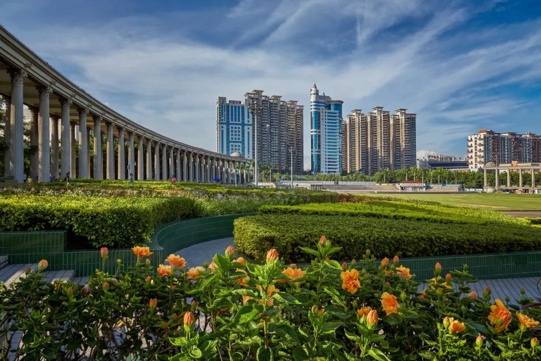 这就是新桥,这里是新桥小学