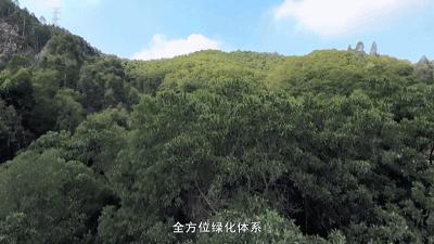 这就是新桥,这里是新桥小学