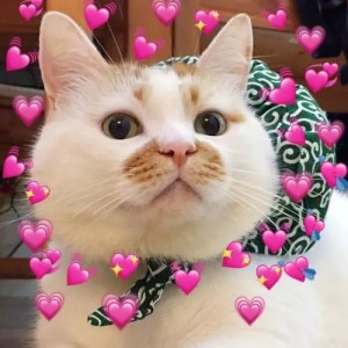 超级冷门的面霜有哪些品牌,平价抗老不油腻的乳液面霜