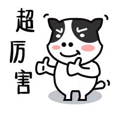 南阳有什么好消息,南阳市最近喜讯