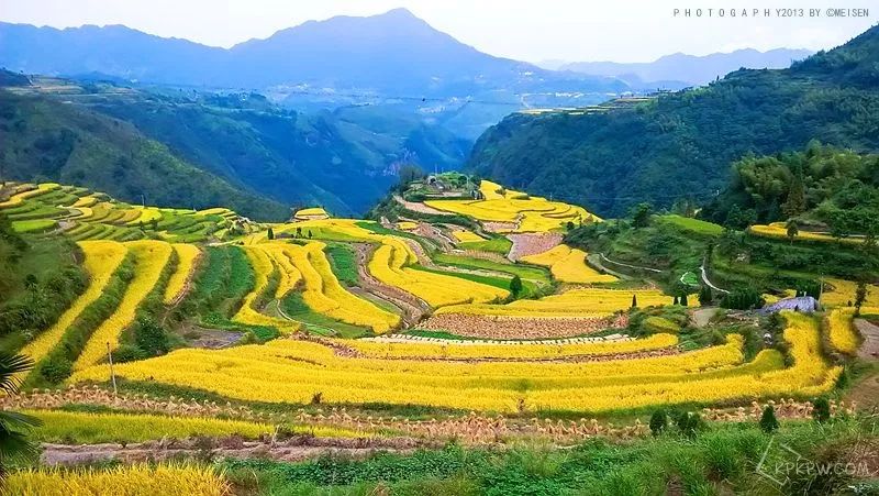 青田先行区发展,侨乡青田最近发展