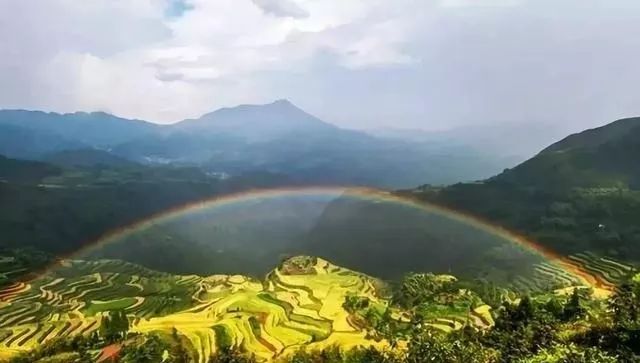 青田先行区发展,侨乡青田最近发展