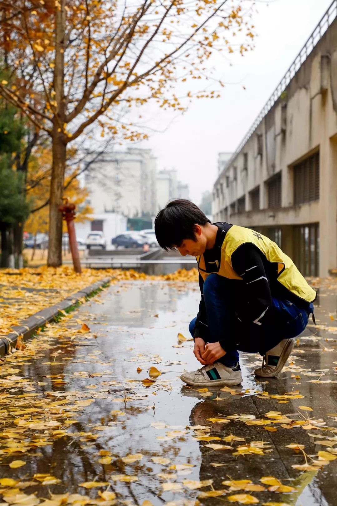 “妈，我在华师看了一场金黄色的雪！”
