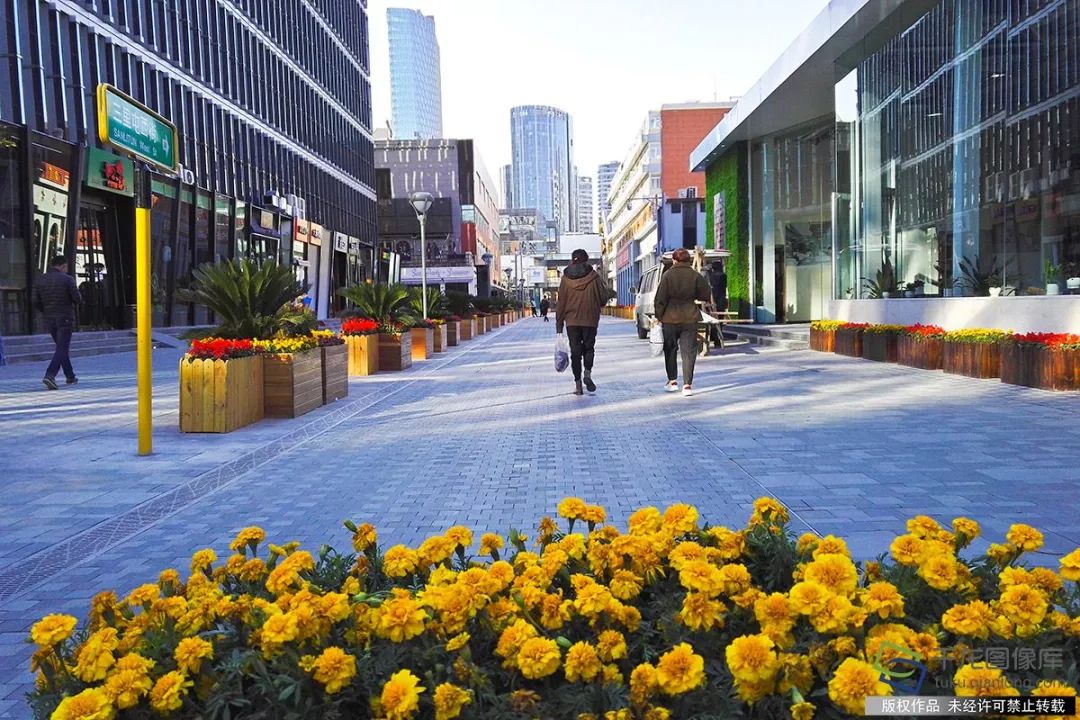 眼里只有南锣鼓巷、国子监？北京最新10条高颜值街巷在这呢