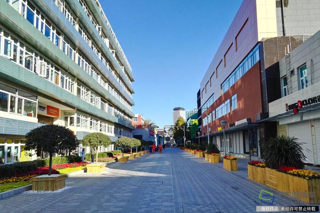 眼里只有南锣鼓巷、国子监？北京最新10条高颜值街巷在这呢