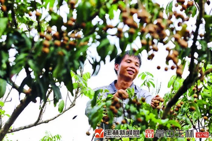 你真的了解博白吗?来了解一下!