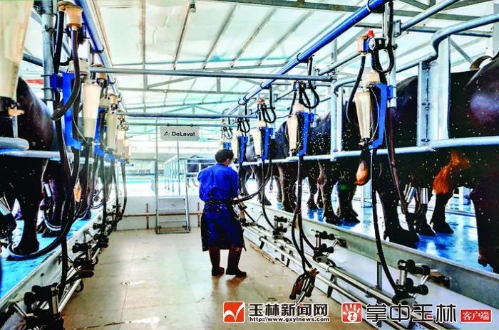 你真的了解博白吗？来了解一下！