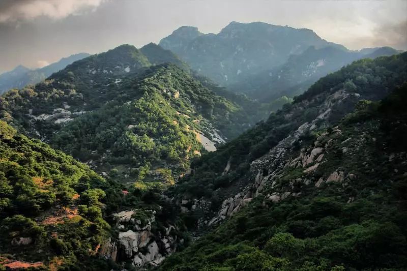 1月机票白菜价！从洛阳出发，最低只要170元！比坐车还便宜！