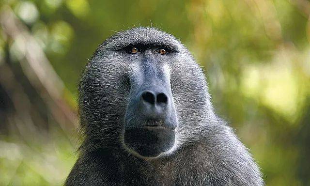 迪拜沙迦伊斯兰文明博物馆,阿联酋迪拜游记