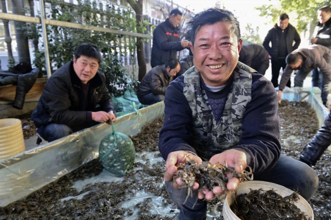 马鞍山当涂为什么富裕,马鞍山为什么越来越好