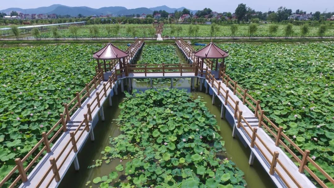 马鞍山当涂为什么富裕,马鞍山为什么越来越好