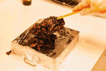 40岁比20岁还年轻的女明星,40岁少女感的女明星