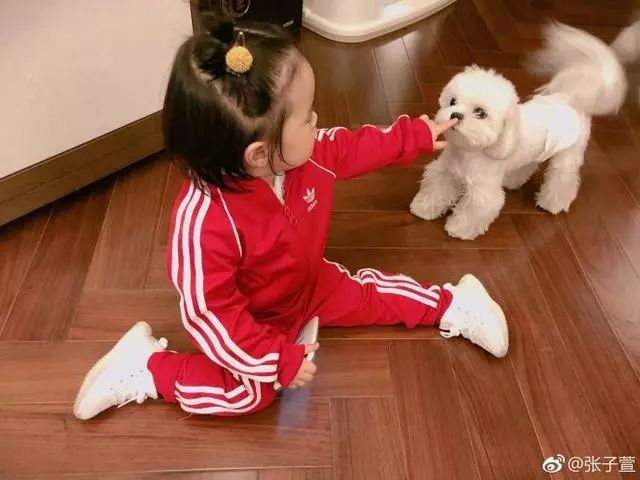 陈赫送给女儿的生日礼物,陈赫给女儿庆生了吗