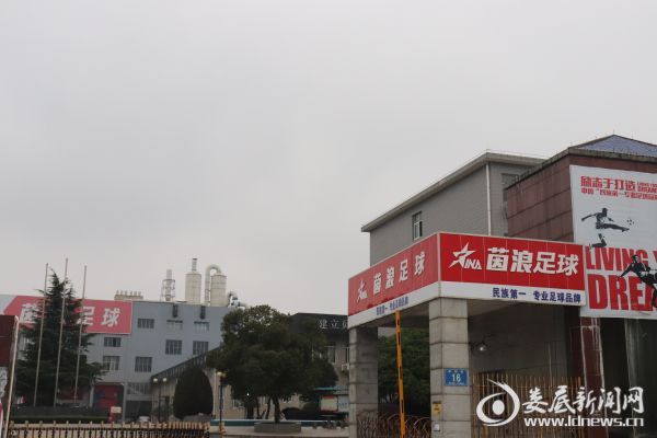 濞勫簳鑼垫氮浣撹偛,婀栧崡鑼垫氮浣撹偛鍙戝睍鏈夐檺鍏徃