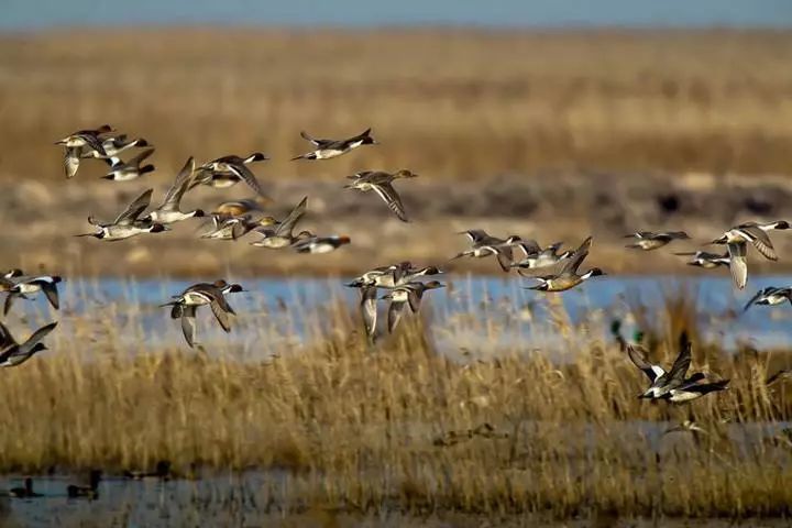 小众宝藏旅行地江浙沪冬天,冬日有阳光心情会很好