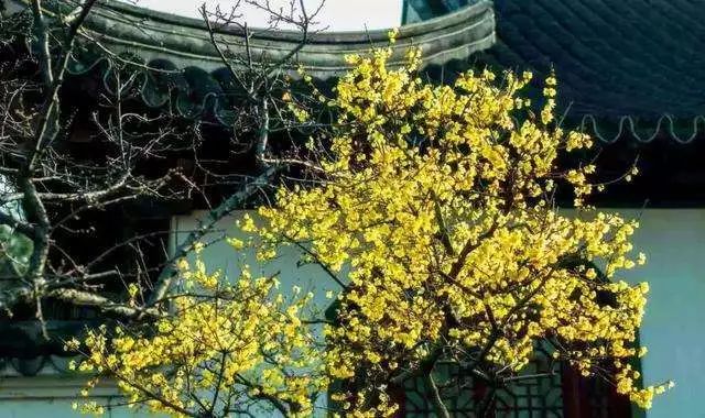 小众宝藏旅行地江浙沪冬天,冬日有阳光心情会很好