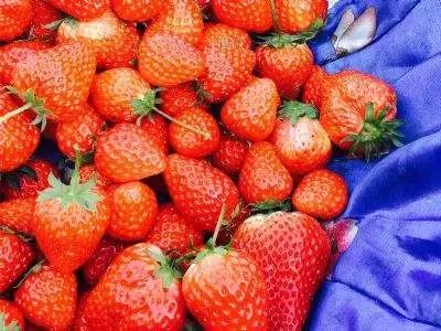 小众宝藏旅行地江浙沪冬天,冬日有阳光心情会很好