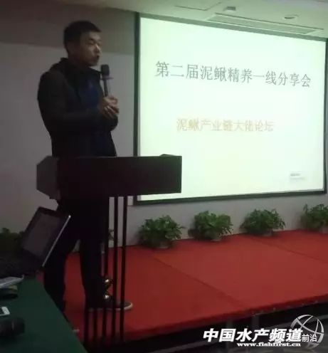 2023泥鳅塘头价格,今日泥鳅塘头最新价格