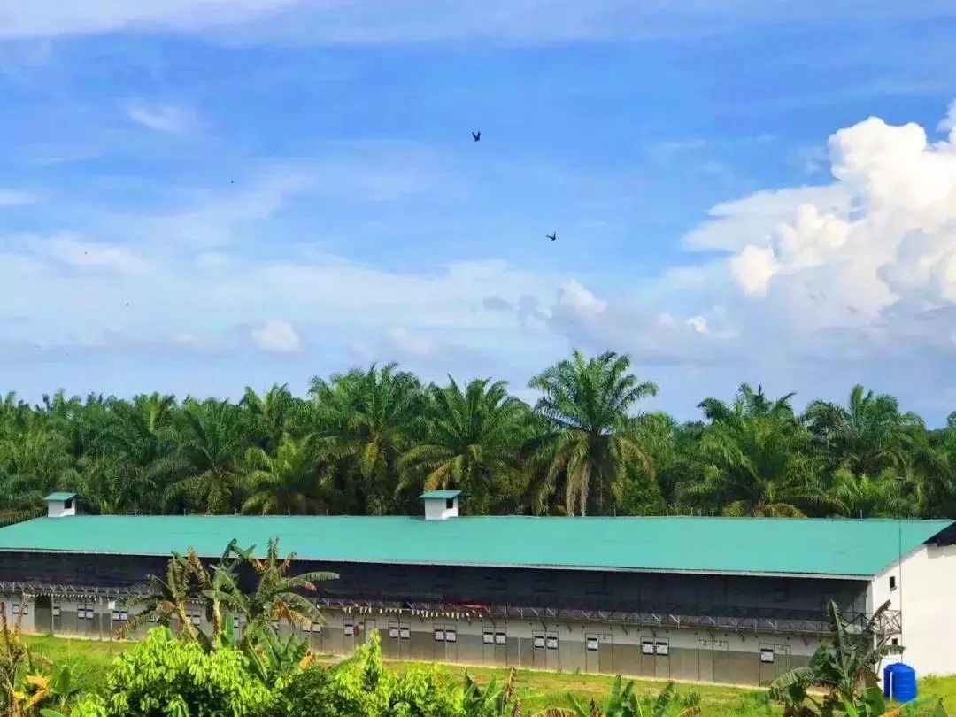 卖肾安利!拆快递的时候,灵魂都激动到颤抖