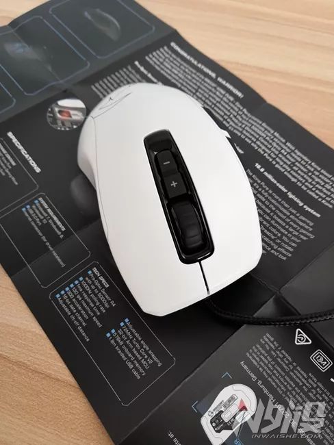 白冰豹子,黑冰和白冰视频