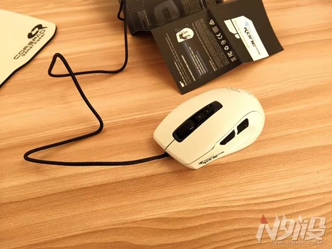 白冰豹子,黑冰和白冰视频