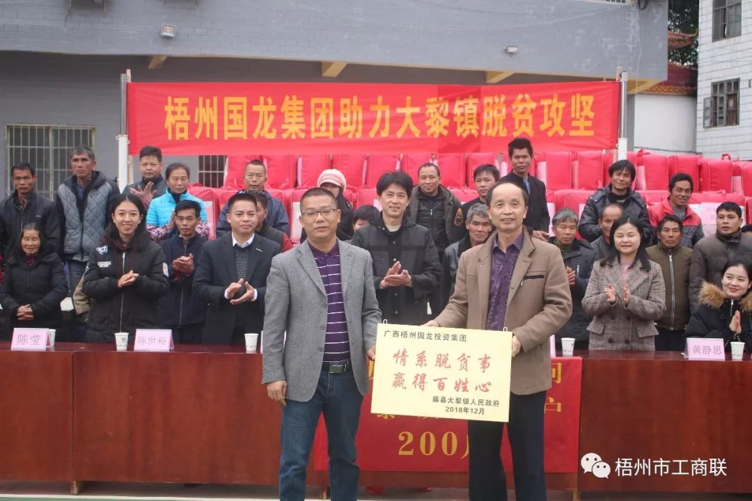 梧州市国龙集团,梧州国龙投资集团