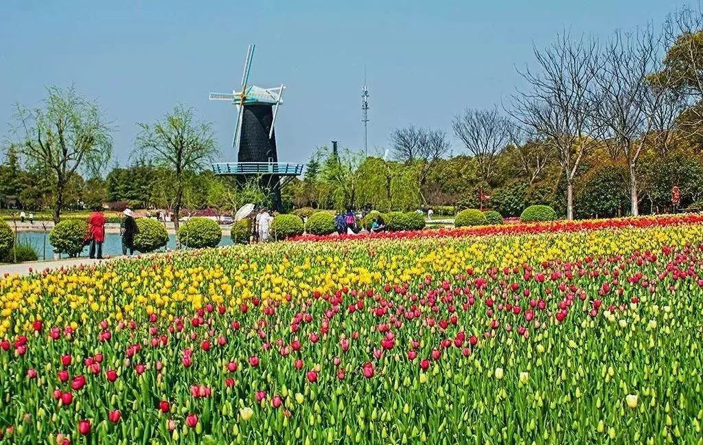 上海浦东2023年gdp增量,浦东gdp占比