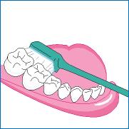 牙到底横着刷还是竖着刷,刷漆横着刷还是竖着刷