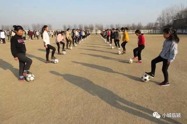 临颍县王孟一中,临颍一高附中文化节