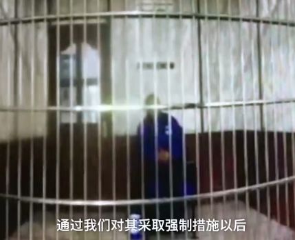 回顾2018,你的关键词是什么;开逛啦,济南新芙蓉街今起开门迎客;硬核!自行车与轿车相撞,竟把轿车车头撞扁了