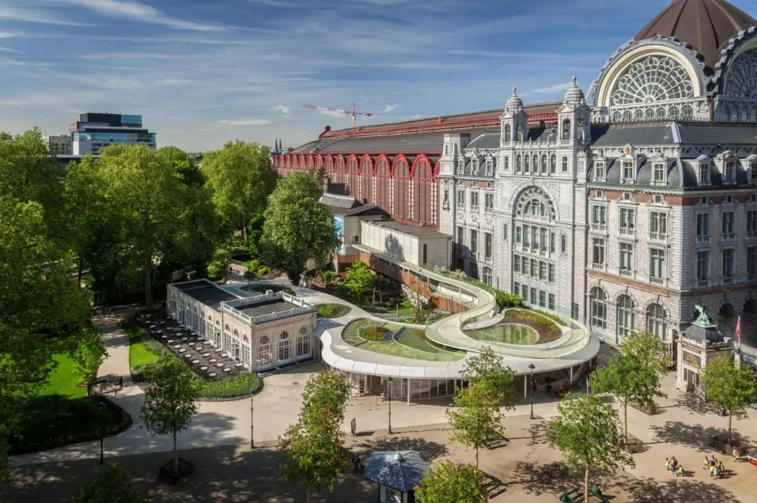 老外多爱猫咪,老外多爱中国