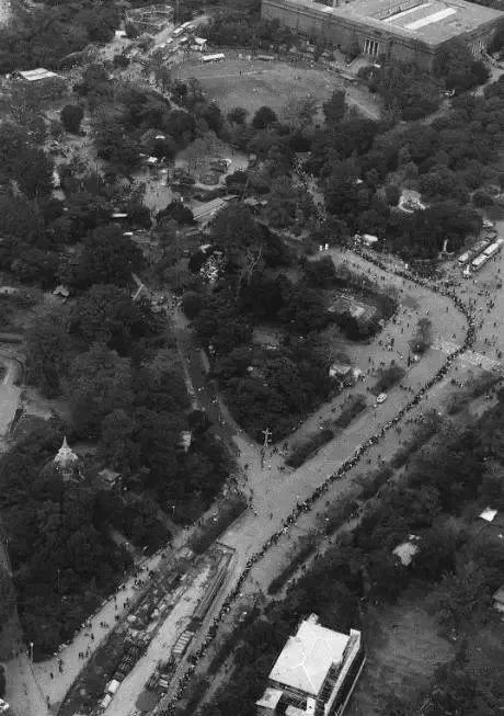 老外到底多喜欢熊猫,老外看中国大熊猫